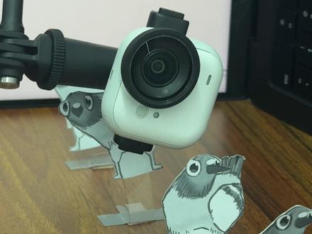 当我又画了一群疯狂的鸽子,这次能拍好吗? #创意摄影 #创意视角 #疯狂的鸽子 #纸片动画 #卡点