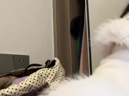 过年的时候小米手机坏了#小米 #红米 #手机