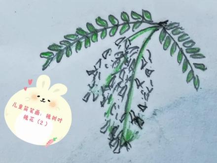 儿童简笔画:槐树叶槐花(3) #原创 #手绘