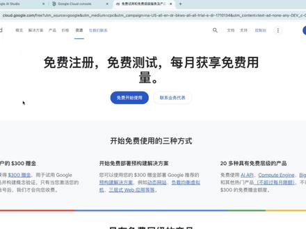 免费又高效 推荐#AI #nanobanana #Gemini #gina #电商