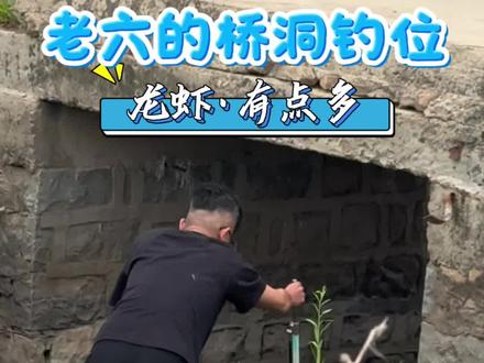 老六竟然用抽干,关键是还钓了这么多龙虾#钓鱼 #抽水抓鱼 #钓鱼人的快乐其实很简单 #瓜子二手车 #抓龙虾