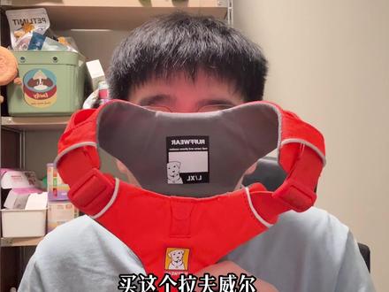 拉夫威尔的实际使用体验!#新手养狗#养狗经验分享#养狗好物