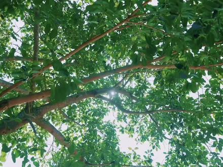 橹嬷频道之族综2#橹嬷#王橹杰