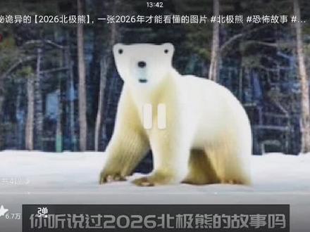 2026北极熊的故事