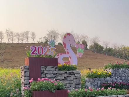 3月去青秀山赏花攻略!桃花、樱花、豆梨花、油菜花等,月底还有黄风铃花!#南宁青秀山 #赏花春游好去处 #亲子游玩好去处 #来南宁一定要去的地方 #旅行推荐官