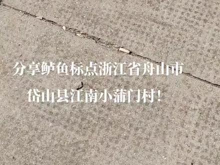 路亚海鲈 玩个心跳🎣