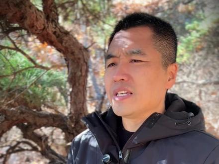 春节是袁世凯发明的 #近代军政史