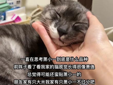 他一直不睁眼我没办法让你们看到他的绿眼睛🥲就是觉得他的花色跟眼睛颜色有一点贴到萧逸
我乱yy的轻喷啊姐妹们TT#光与夜之恋 #萧逸