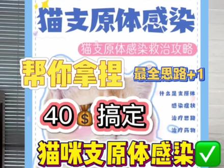 猫咪必备药品清单又来了~这次是全网超级全的支原体感染必备的方法~ 点赞事项受用猫咪一生!@DOU+小助手 @抖音小助手 @抖音创作者中心 #科学养宠攻略 #宠物知识 #抖音萌宠出道计划 #实用养猫技巧