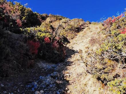 川西-冷嘎措|高海拔4500米徒步看贡嘎雪山,全程真实体验 带大家去看贡嘎神山的日照金山,从新都桥到冷嘎措全程的路线、关卡、路况,以及徒步的注意事项和必带装备,分享全程真实体验。#青年创作者成长计划 #高海拔徒步 #冷嘎措日照金山 #旅居生活 #贡嘎雪山