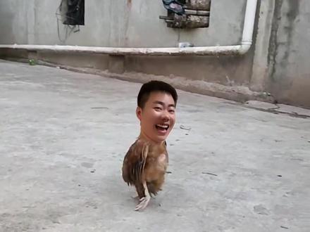 大哥溜达的很开心呀😂😂😂#专治不开心 #原创搞笑 #看一遍笑一遍 #笑到肚子疼 #六亲不认的步伐