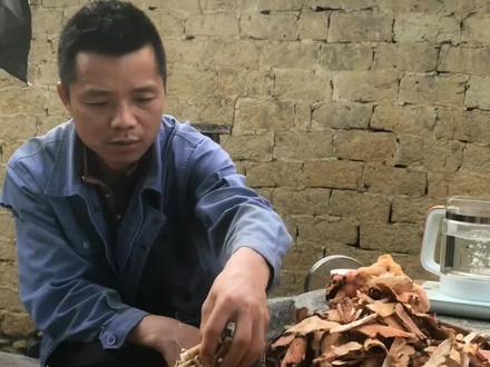 忙了一天了,煮壶五指毛桃土茯苓茶水喝喝,#我的乡村生活