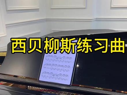 西贝柳斯练习曲 #钢琴教学 #今天你练琴了吗