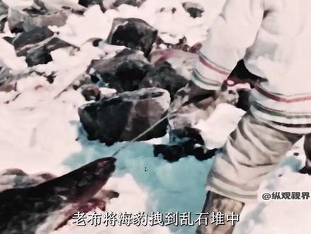 因纽特人巧用妙计捕猎,捕获海豹腌制储存,远赴深海追猎独角鲸 #纪录片#因纽特人#因纽特人纪录片#因纽特人的生活#涅涅茨人