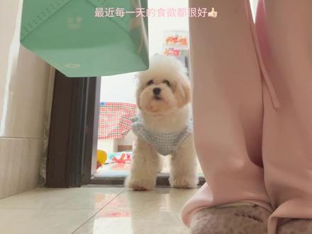 vlog恋冬妹上线🍥懒洋洋的宅家生活(^^)
#vlog日常 #vlog #vlog十亿流量扶持计划