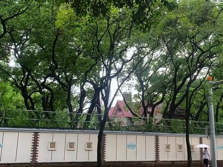 这栋房子修缮之前是奶黄色的.我从小大天天从它身边经过都没注意