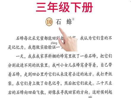 #三年级 #石蜂 #石峰 #课文朗读
三年级语文下册第十课石峰石蜂课文朗读每日一题生字周末练习题