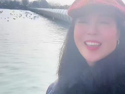 #支持原创 #徐州#云龙湖 来徐州云龙湖看海鸥