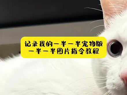 记录我的一半一半萌宠版 一半一半图片生成指令教程 #豆包ai ,#豆包P图已经nextlevel了 #记录我的一半一半 #一半一半 一半一半图片怎么拼图 一半一半图片怎么拼图有黑线 一半一半的图自己有黑线 一半一半图片怎么拼图抽象 一半一半 一半一半图片怎么拼图教程 一半一半图片 一半一半图片怎么拼图43 一半一半图片怎么拼图醒图 一半一半图片怎么拼图朋友圈 一半一半豆包指令 一半一半图片制作方法34 一半一半图片制作方法 一半一半图片怎么拼图 一半一半照片怎么弄 一半一半图片制作 一半一半图片制作方法分享 一半一半 一半一半图片 一半一半制作过程 #豆包ai生成图片 ai照片生成 ai生成自己图片
