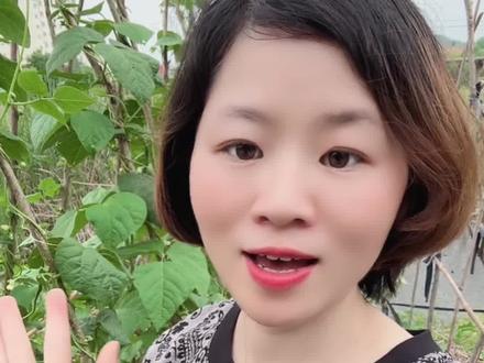 城里的宝贝回来认蔬菜 很多朋友说自己是农村的,快来看看认不认识#江西冬冬#10亿流量扶持计划#江西#我的乡村生活 #江西冬冬
