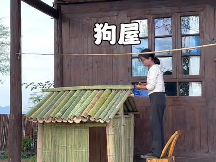 没有经验第一次用竹子做狗屋,竟然成功了,有付出就会有收获。#我的乡村生活 #田园生活小院 #狗屋制作过程