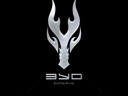 这些年我帮比亚迪设计的车标集合#车标 #创意 #比亚迪 #logo设计