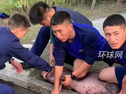 彝族消防员杀猪时警铃响起,飞奔出警