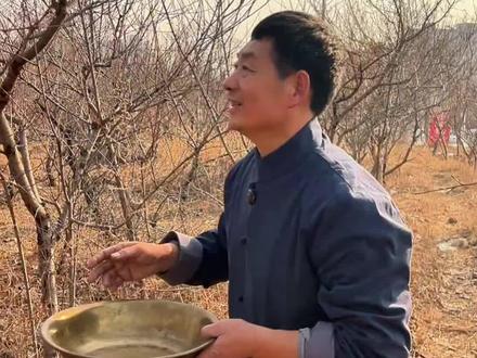 正月采桃枭,初一到十五又到了采桃枭的最佳季节,今天用桃枭做款桃枭香#为何春节定在正月 #桃枭 #桃枭有什么作用 #桃枭枭香 #正月采桃枭