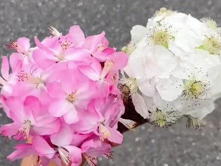 一家人自制春天的创意鲜花亲子手工diy #亲子手工 #手工diy #创意手工 #幼儿园手工 #春天手工