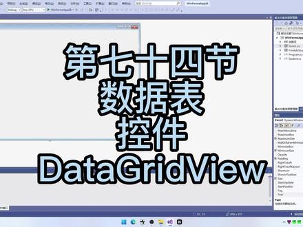 1074-数据表控件DataGridView #编程
