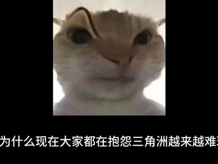 为什么现在三角洲越来越难玩 #三角洲行动 #三角洲 #三角洲黑屋