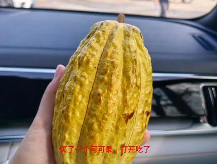 可可果制作巧克力 #上热门 #纯手工制作美食 #巧克力 #可可果 @DOU+上热门 @抖音小助手