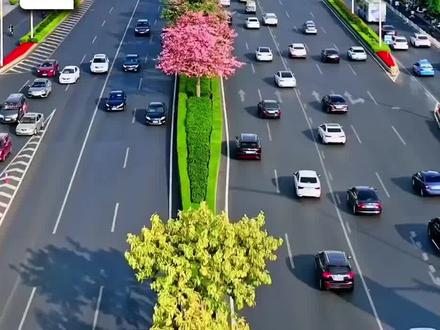 广西为什么不叫"省"而叫"自治区?#广西dou知道 #经济发展 #广西 #南宁