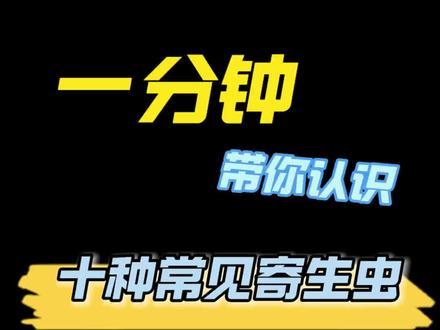 10种常见的寄生虫,你认识几种?#水产养殖 #寄生虫