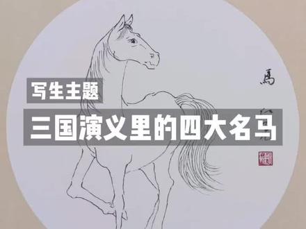 三国演义里的四大名马都是哪些?#赤兔马 #的卢 #绝影 #爪黄飞电 #写生 #白描 #画画
