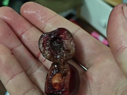 一起买的还要榴莲,榴莲没问题斤两也够