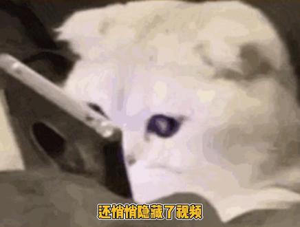 防晒瓜后续来了!炸裂,相当炸裂… #检测机构发布澄清回应蜜丝婷争议 #网红 #大反转