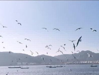 #我的祈祷 Devotion - My Prayer@抖音小助手 #音乐🎶