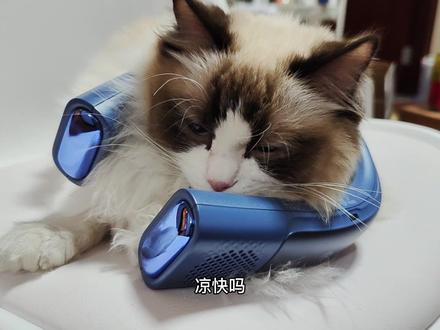 图拉斯挂脖风扇开箱——挂在脖子上的1000块#萌宠 #风扇 #挂脖风扇