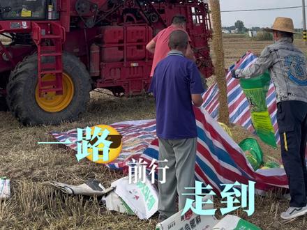全网呼叫农机手 河南 何难 何其难 十月播种 六月收割 现在就差颗粒归仓了 #小麦收割机 #小麦收割机跨区记录篇 #小麦 #农机 #农机人