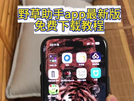 《鸿鑫宝库》野草助手app最新版本苹果安卓下载教程来了#野草助手 #野草助手口令 #野草助手怎么下载 #野草助手下载教程 #电视投屏