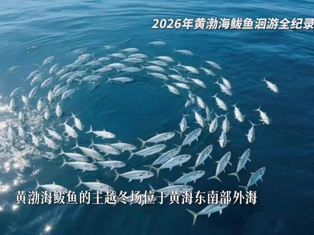 #路亚 #鲅鱼 #岸投铁板
还是喜欢玩鲅鱼 别的鱼没它爽啊!#2026一起共谱海域新篇章