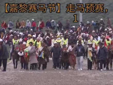 【嘉黎赛马节】走马预赛,请看这里1