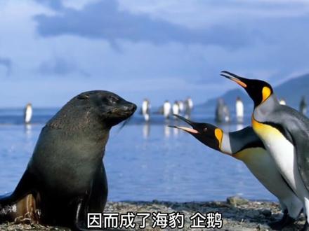 你们见会发光的虾是什么虾吗?你们还知道什么动物是会发光的,赶紧评论区留言告诉我吧!#科普 #海洋生物 #探索世界