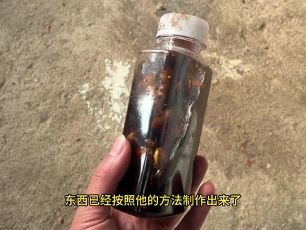 邓炮同款醋泡生姜开饵测试,水下高清呈现#钓鱼 #爆护饵料 #饿得慌饵料 #钓鱼人就是这么疯狂 #饵料添加剂