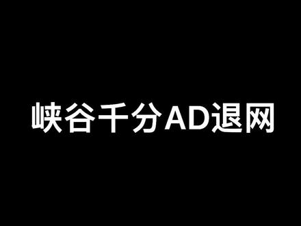 一名峡谷顶尖ad宣布退网,背后原因令人深思!