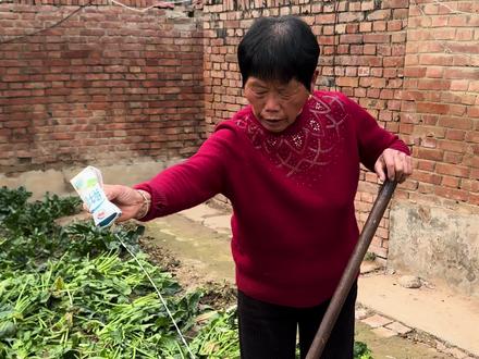 给奶奶纯牛奶里面放白醋 看看奶奶什么反应#内容过于真实 #整蛊