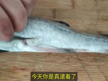 韩国家家都吃的明太鱼,国内大厨精心烹制,这做法看着就有食欲