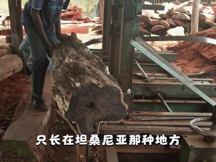 五年等一支乐器,十万块还被抢? 不是贵在木头,是贵在敢让你等五年的手艺 #乐器 #非洲黑木 #长笛 #雅马哈长笛 #双簧管