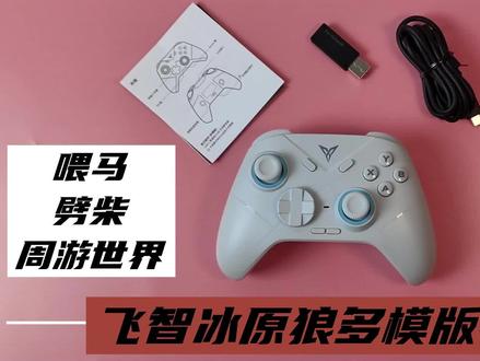 从今天起,喂马、劈柴,周游世界,飞智冰原狼陪你 #游戏手柄 #飞智冰原狼 #飞智手柄 #塞尔达传说 #百元手柄